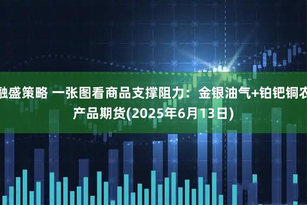 融盛策略 一张图看商品支撑阻力：金银油气+铂钯铜农产品期货(2025年6月13日)