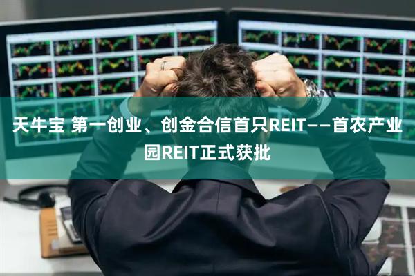 天牛宝 第一创业、创金合信首只REIT——首农产业园REIT正式获批