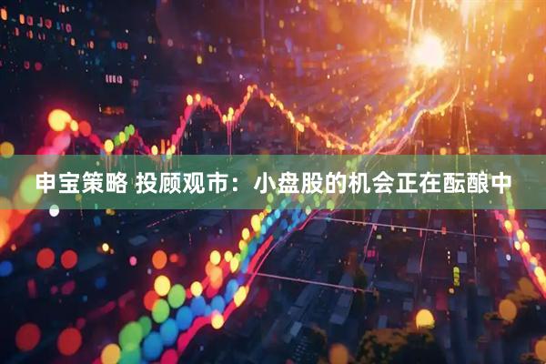 申宝策略 投顾观市：小盘股的机会正在酝酿中