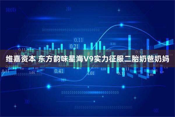 维嘉资本 东方韵味星海V9实力征服二胎奶爸奶妈
