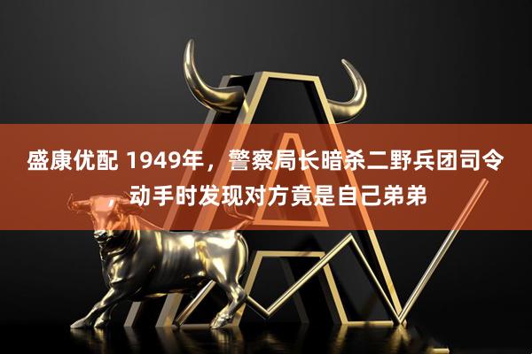盛康优配 1949年，警察局长暗杀二野兵团司令，动手时发现对方竟是自己弟弟